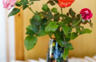 House Salvia - Foto 1