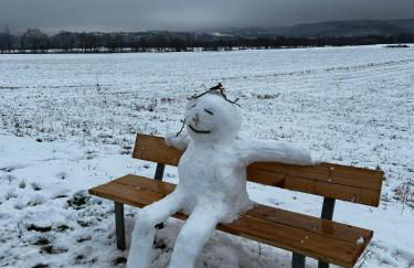 Ferienwohnungen Landliebe "Auszeit mit Wohlgefühl" - Foto 10