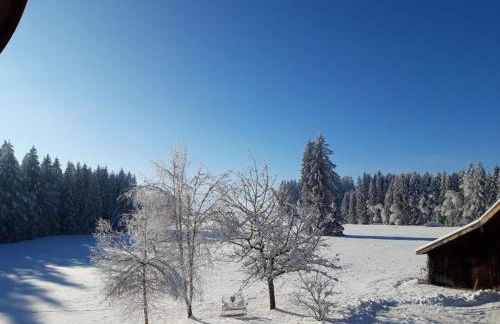 Rustico di Angelo - Foto 8