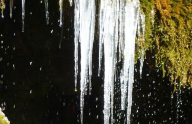 Wolfs Ferienhaus - Natürlich Eifel - Foto 41