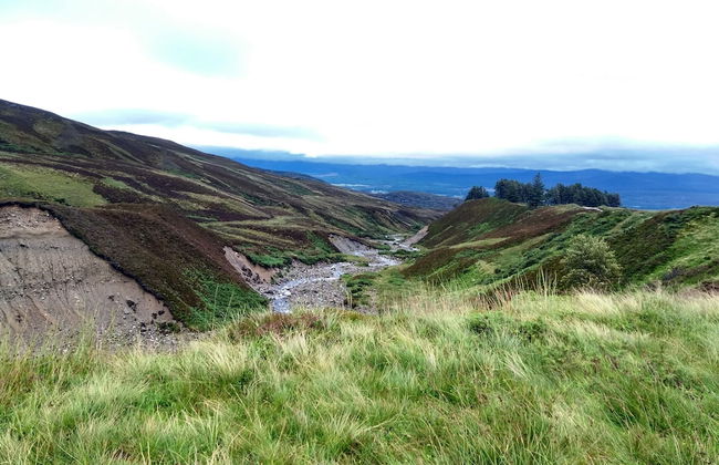 Ardvonie House - Foto 33