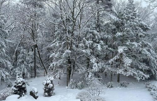 Woodstock Retreat- Heated Pool/Hot Tub/FirePit - Foto 26