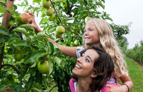 Ferienwohnung Säntis - Foto 53