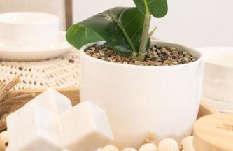 Beautiful Raleigh Home - 3BR Quiet and Family Friendly - Foto 6