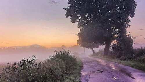 Stara Szkoła Browina - Foto 2