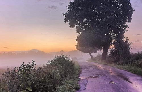 Stara Szkoła Browina - Foto 2