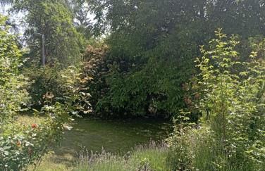 Obergeschoss - Katharina von Berg - Foto 46