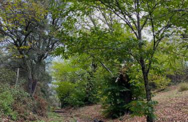 Alojamiento La Tana - Foto 21