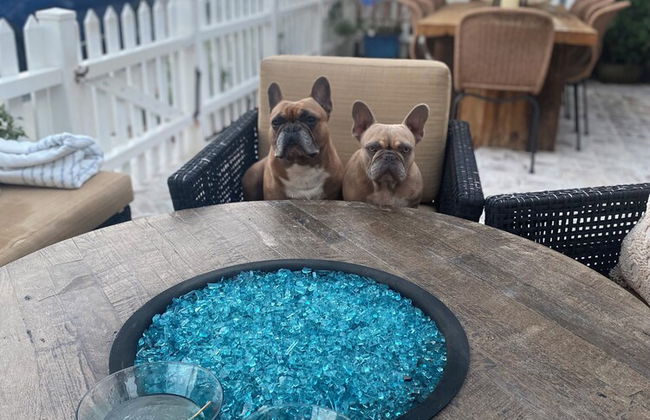 Balboa Island Beach Cottage - Foto 63