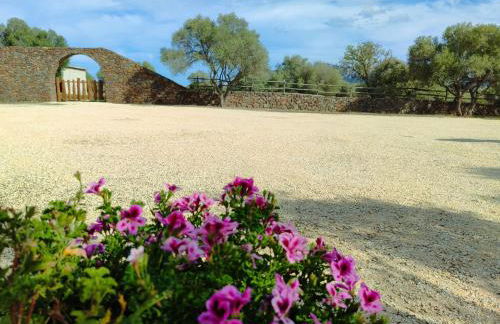 Cuile Casari - Foto 25