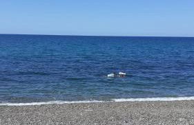 VILLA MOGUNTIA - Foto 23