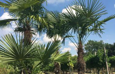 Residenza Eden - Foto 34