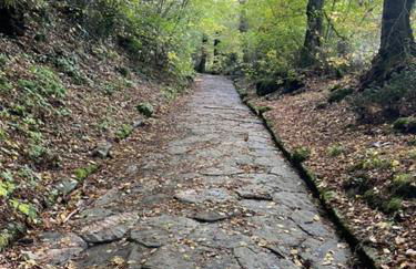 Residenza 1898 - Foto 47