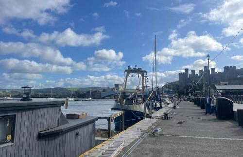 Hafan Glyd charming cozy cottage in Conwy - Foto 39