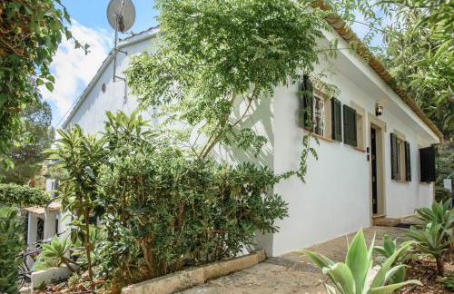 Villa Polina - Photo 37