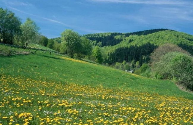 Gemutlicher Ruckzugsort in Olsberg-elpe - Foto 28