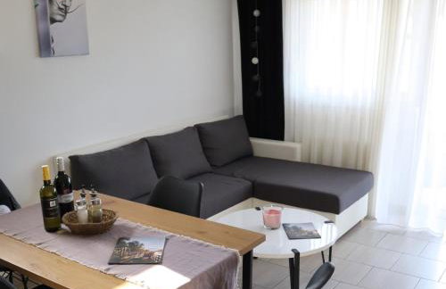 Apartment Sandra Toplice Sveti Martin - Foto 16