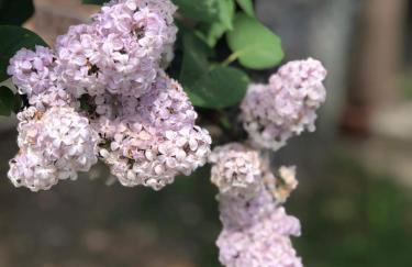 Apartment Majetić - Foto 14