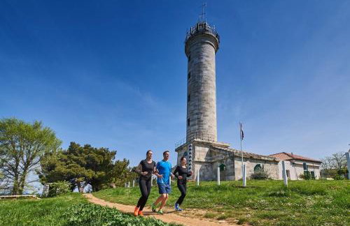 Villa Salvore - new luxury house, heated pool, near beaches, playroom - Istria - Foto 71