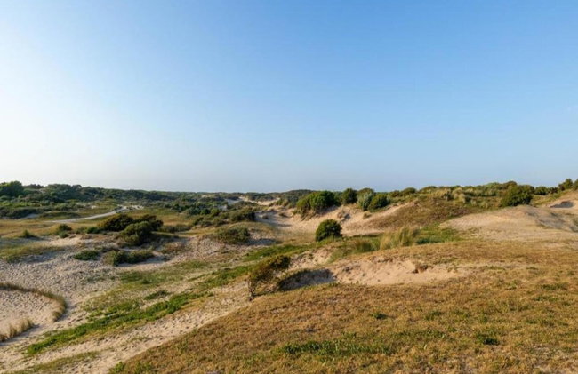 Holiday Home in Noordwijk Near Beach - Photo 38