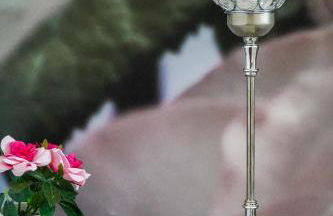 Les Bleuets - Erdivines - Foto 34