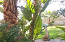 Maison Lido Silvana - Photo 74