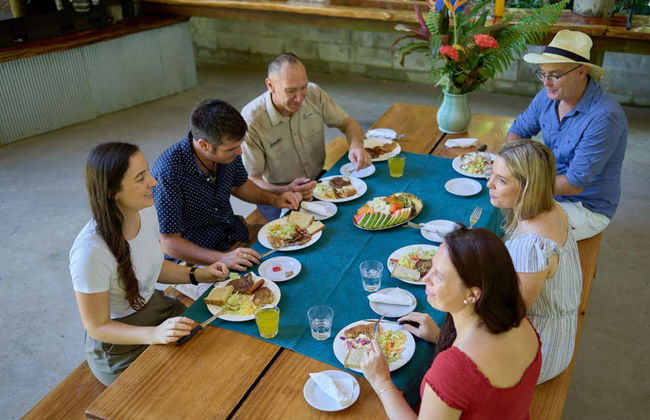 Daintree National Park Tour - Foto 7