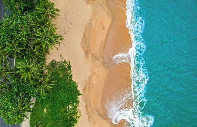 Trinity Beach Pacific - Foto 39