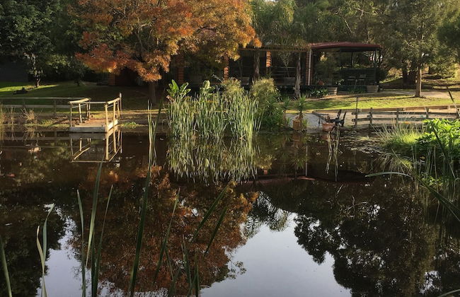 Bells Estate Great Ocean Road Cottages - Foto 43