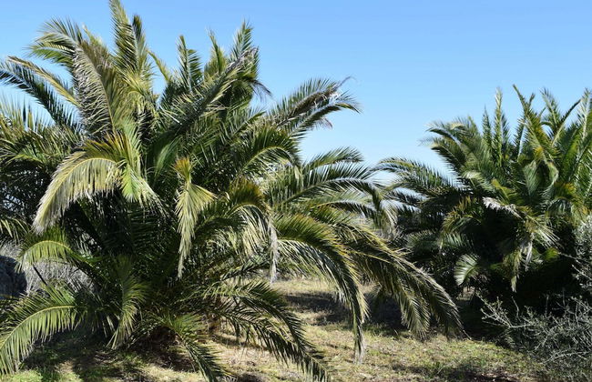 House With Panoramic Terrace, Near the Sea and the City of Syracuse - Foto 17