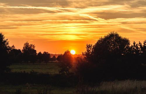 Domki nad stawem - Foto 12