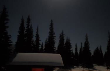 Little Bear Getaway Cabins - Foto 30