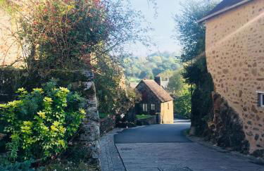 Maison La Cassine Saint-Ceneri-le-Gerei - Foto 16