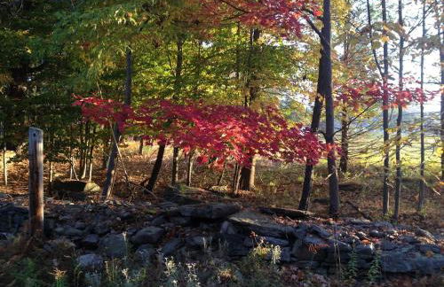 Apple Orchard & Forest Retreat with Woodland Pond - Foto 29