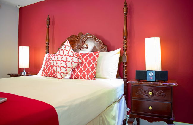 Casa Alexandria Guest Apartment - Foto 12