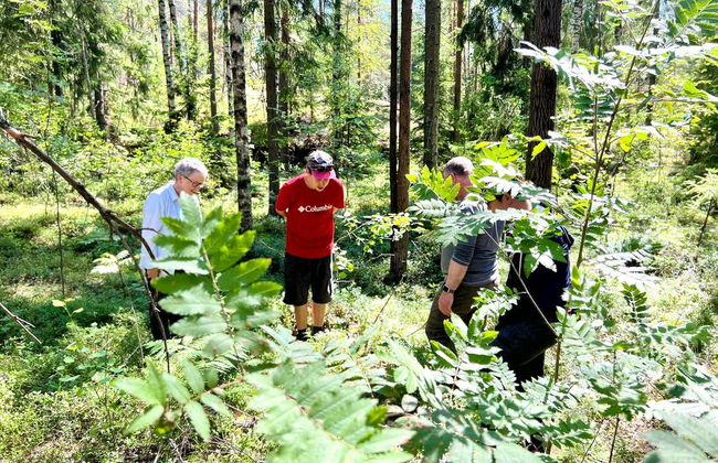 Excursão ao Parque Nacional de Sipoonkorpi + Sauna finlandesa - Foto 12