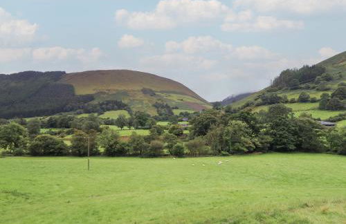 Caban Tirion - Photo 23