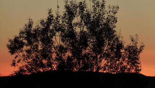 Agroturystyka u Psotki - Photo 5