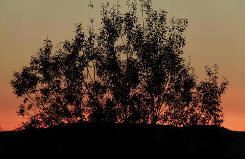 Agroturystyka u Psotki - Foto 5