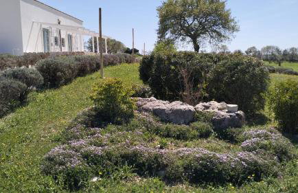 Trullo Dimora Podere Papilio - Foto 61