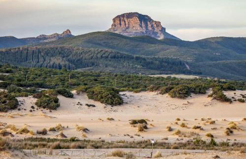 Sa Paxi Arbus - Foto 44