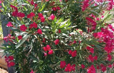 Apartman VTS - Photo 27