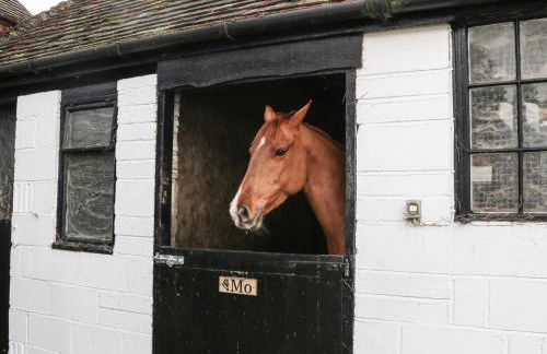 Filbert Pod - Foto 21