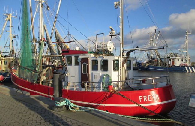 Dinkla 1 Comfortable Holiday Residence - Photo 24