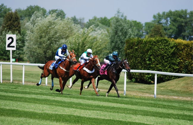 Enjoy the Pause Holiday Home - Foto 54