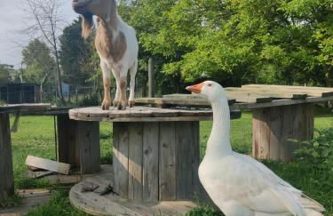 Gîte Côte de Nacre, 4 à 6p, La Ferme de Valambray - Foto 15