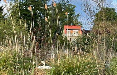 Erholen am See - Photo 26