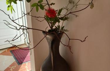 Apartmani Ivić Paka Rab - Photo 65