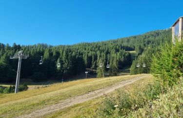 PUY SAINT VINCENT APPARTEMENT T2 BALCON SUPER PANORAMA AVEC PARKING PRIVE COUVERT et PISCINE L'ETE - Foto 48