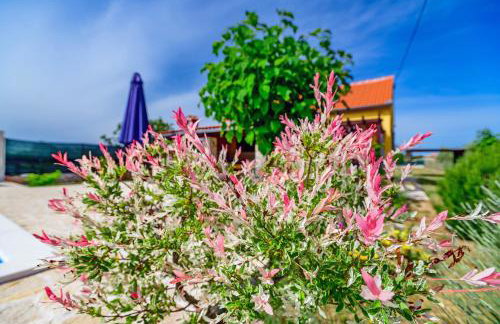 Sunny house - Foto 58